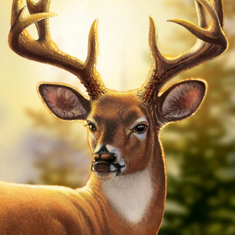 Big Buck Hunter Arcade КЛЮЧ STEAM РФ+СНГ
