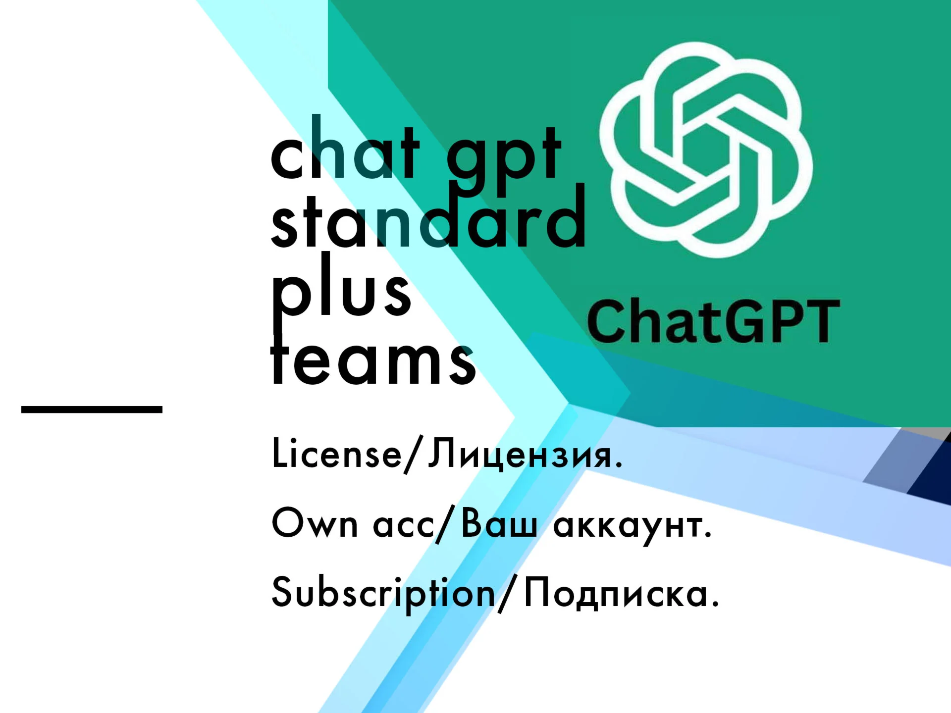 ChatGPT 3.5/4 Standard  Личный аккаунт