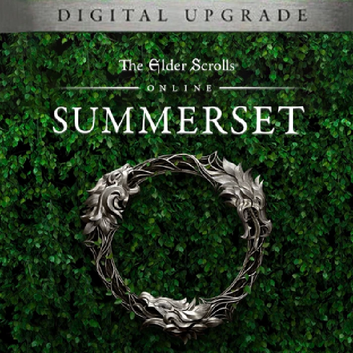 THE ELDER SCROLLS ONLINE: SUMMERSET (UPGRADE) KEY🔑