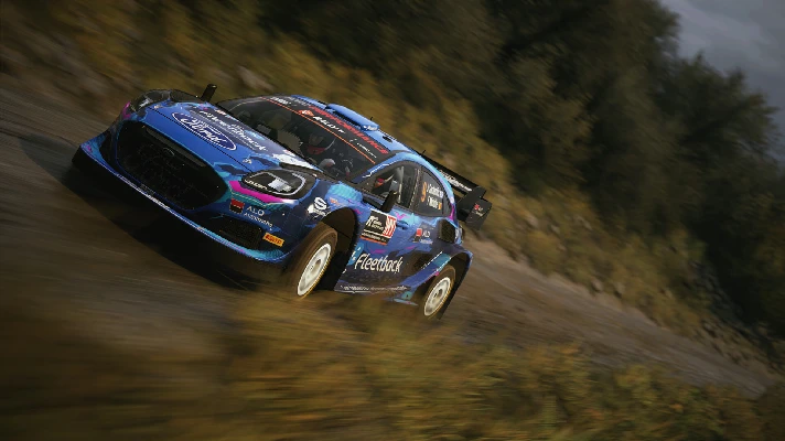 ⚡EA Sports WRC 24 / EU KEY/PS5⚡