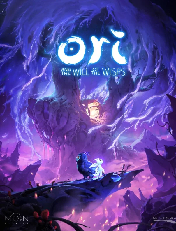 Ori and the Will of the Wisps  Nintendo Switch