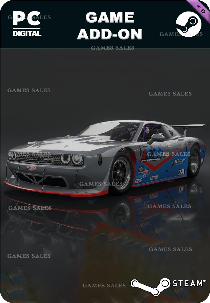 ✅FM 2019 DODGE #9 AMERICAN V8 ROAD RACING TA CHALLENGER