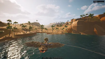 DUCKSIDE АВТОДОСТАВКА STEAM РОССИЯ