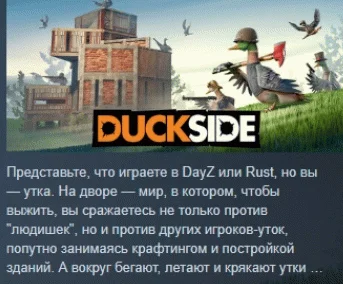 DUCKSIDE АВТОДОСТАВКА STEAM РОССИЯ