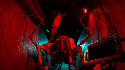 Zoochosis АВТОДОСТАВКА STEAM РОССИЯ