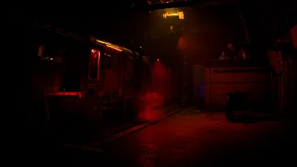 Zoochosis АВТОДОСТАВКА STEAM РОССИЯ