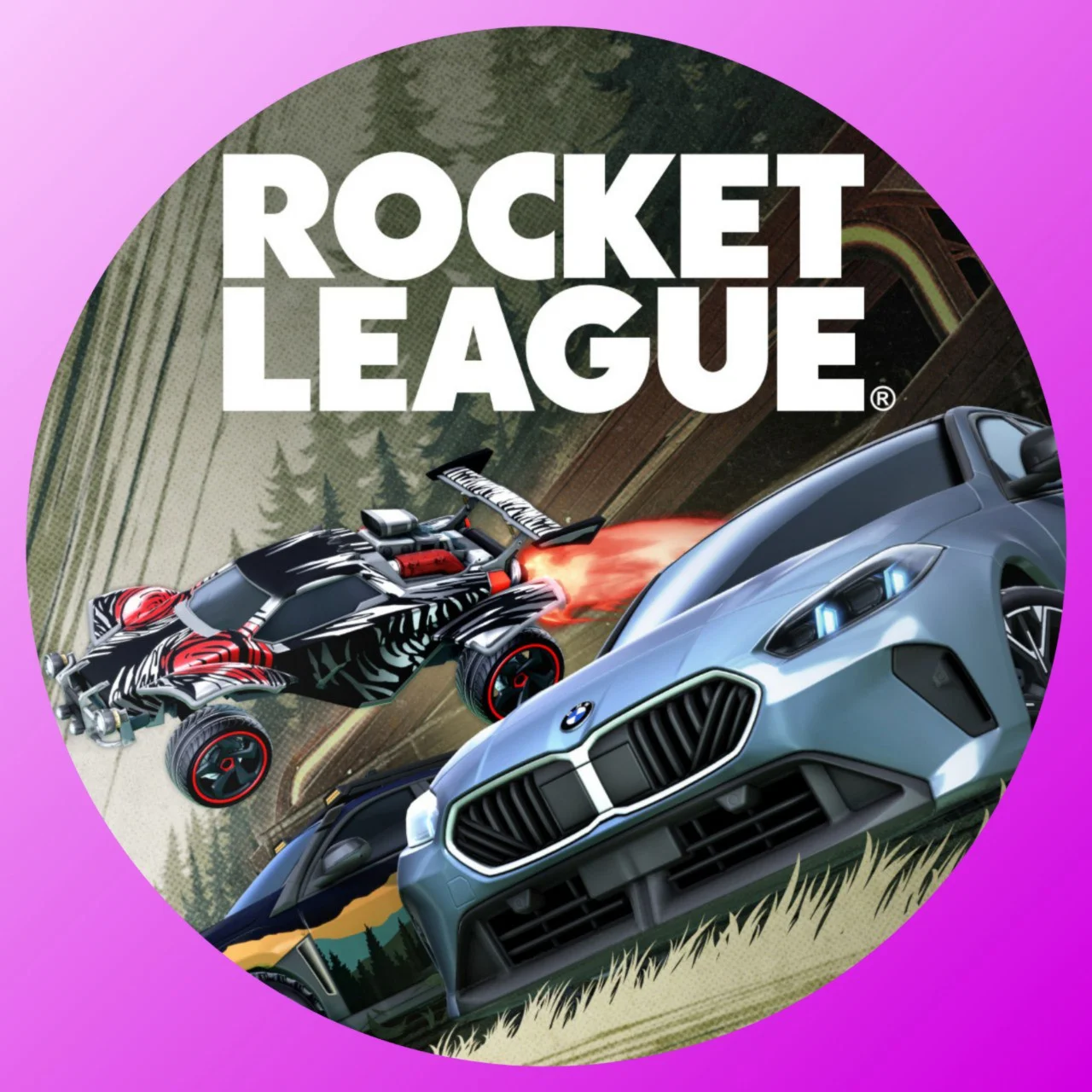 (Epic Games) Rocket League аккаунт + почта