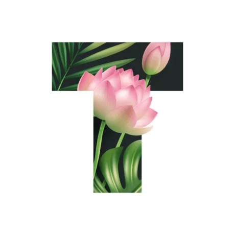 Text Текст на фото шрифты арт PRO iPhone ios AppStore