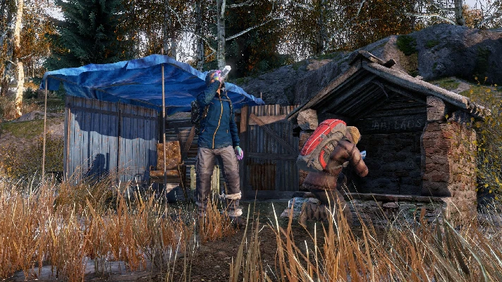 DayZ Frostline * RU/KZ/CIS/TR/AR * DLC * STEAM 🚀 AUTO