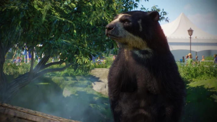 ✅Planet Zoo: Zookeepers Animal Pack⚫STEAM⭐DLC🔑KEY🌎ROW