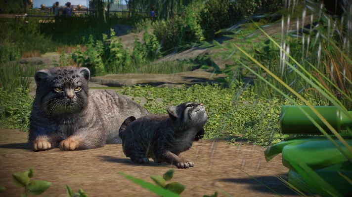 ✅Planet Zoo: Zookeepers Animal Pack⚫STEAM⭐DLC🔑KEY🌎ROW