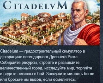 Citadelum  АВТОДОСТАВКА STEAM РОССИЯ