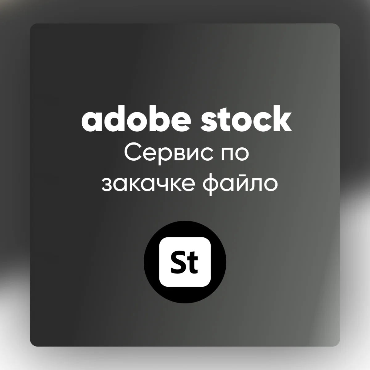  Adobe Stock Premium I Видеофайл Скачать ????