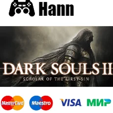 DARK SOULS™ II Scholar of the First Sin STEAM Гарантия