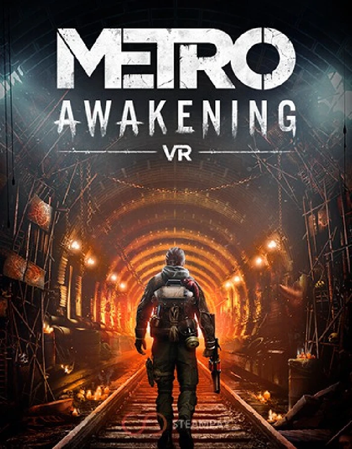 Metro Awakening (Account rent Steam) VR Online