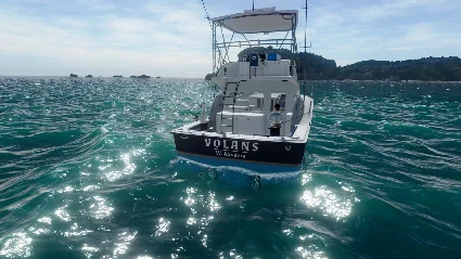 ✅ Fishing Planet 🇷🇺 STEAM НОВЫЙ АККАУНТ+СМЕНА ПОЧТЫ