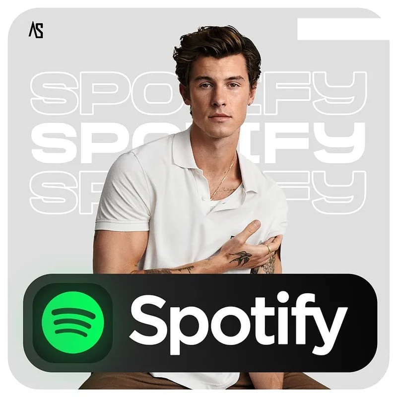 Купить Активация Spotify на1/2/3/6/12 месяцев-Семейный