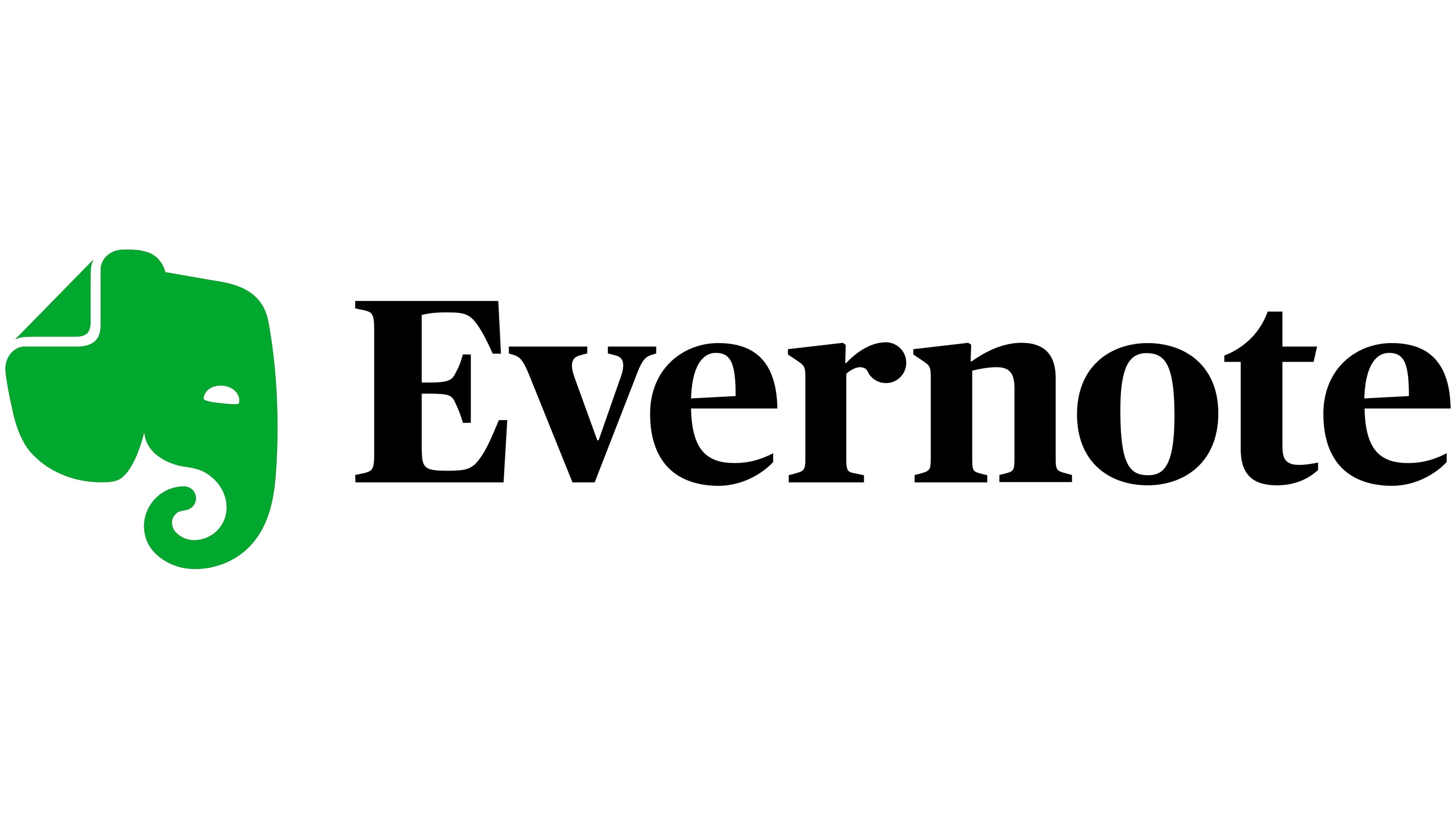 Evernote International Premium Professional 1 year