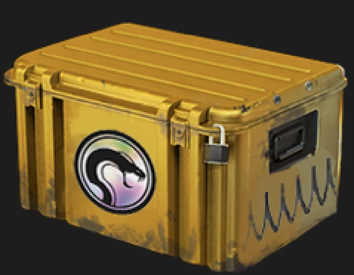 Recoil case