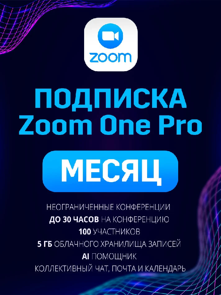 Zoom One Pro Monthly Subscription