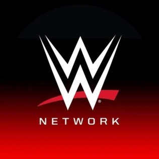 Премиум-аккаунт WWE Network с гарантией 6 месяцев