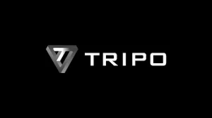 Подписка на аккаунт Tripo ai pro на 1 месяц