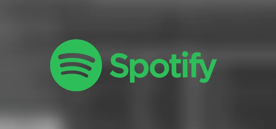 🎵🎶3 месяца Spotify ИНДИВИДУАЛЬНЫЙ🎵Подарок Netflix