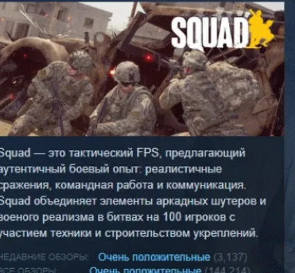 Squad АВТОДОСТАВКА STEAM РОССИЯ