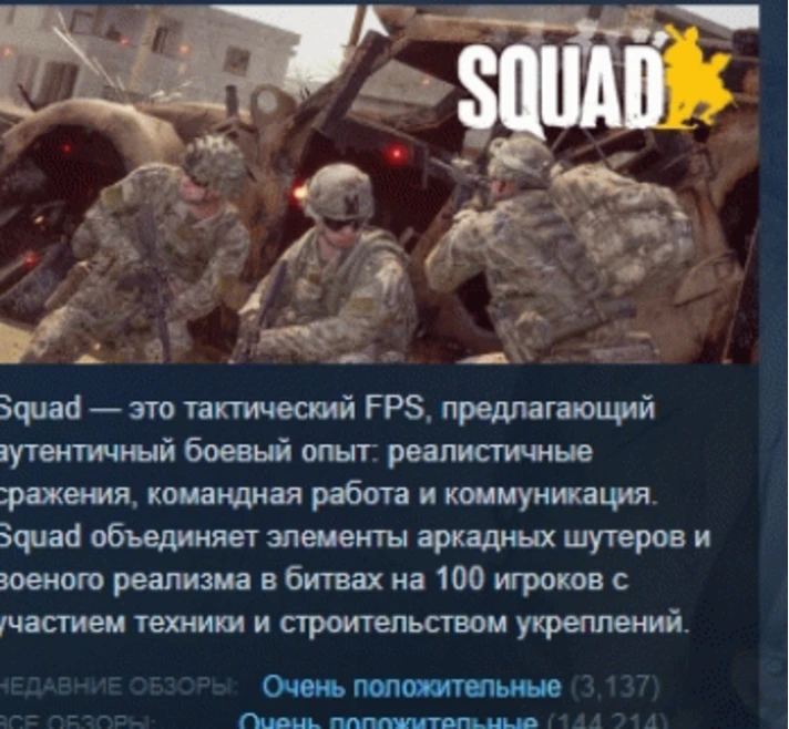 Squad 💎 STEAM GIFT FOR RUSSIA