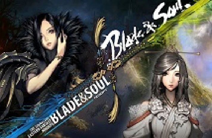 Blade and Soul Gold at low prices PLAYBNS.COM