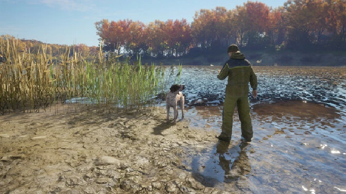 ⚡️theHunter: Call of the Wild- German Shorthaired Point