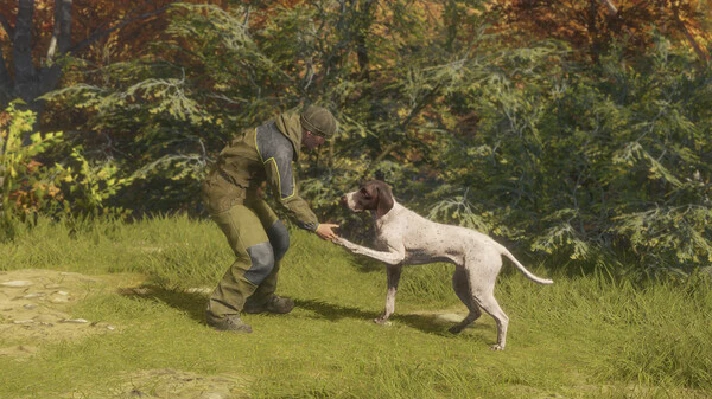 ⚡️theHunter: Call of the Wild- German Shorthaired Point