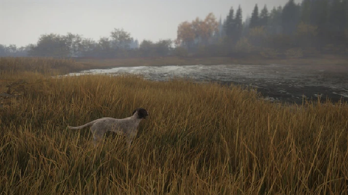 ⚡️theHunter: Call of the Wild- German Shorthaired Point