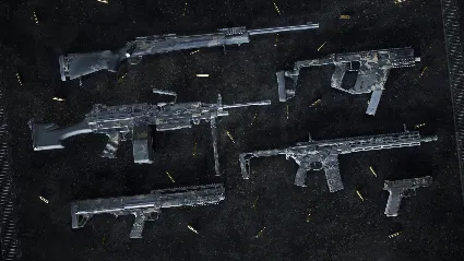 Insurgency: Sandstorm - Night Raven Weapon Skin Set РФ