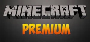 Minecraft Premium - 49 p.
