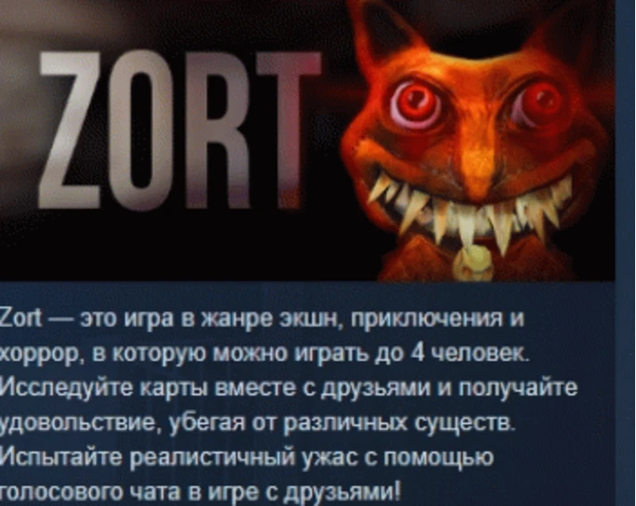 ZORT 💎 STEAM GIFT RUSSIA 🇷🇺