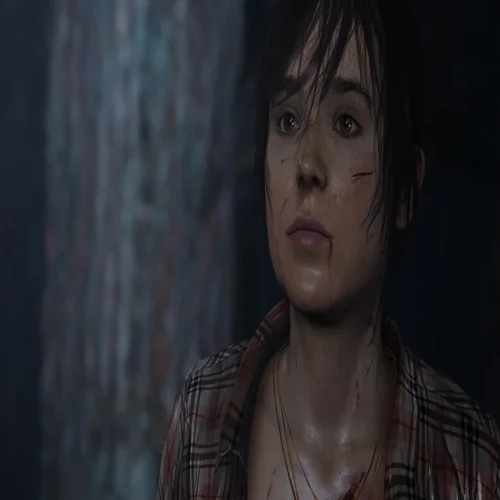  Beyond Two Souls  EPIC GAMES  (PC)