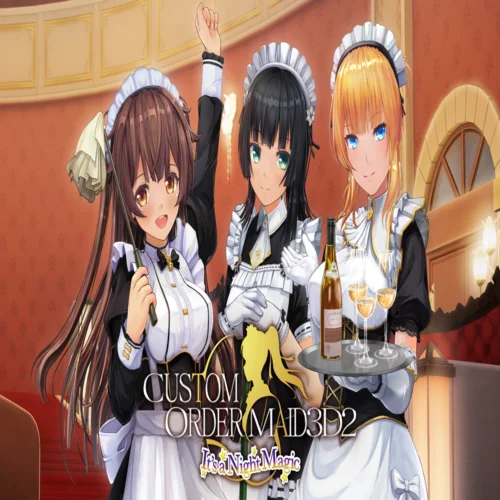  CUSTOM ORDER MAID 3D2 It's a Night Magic Epic LIMITE