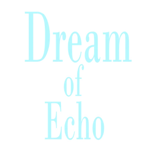  Dream of Echo  EPIC GAMES  (PC)