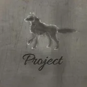 WOLF PROJECT - 30 ДНЕЙ