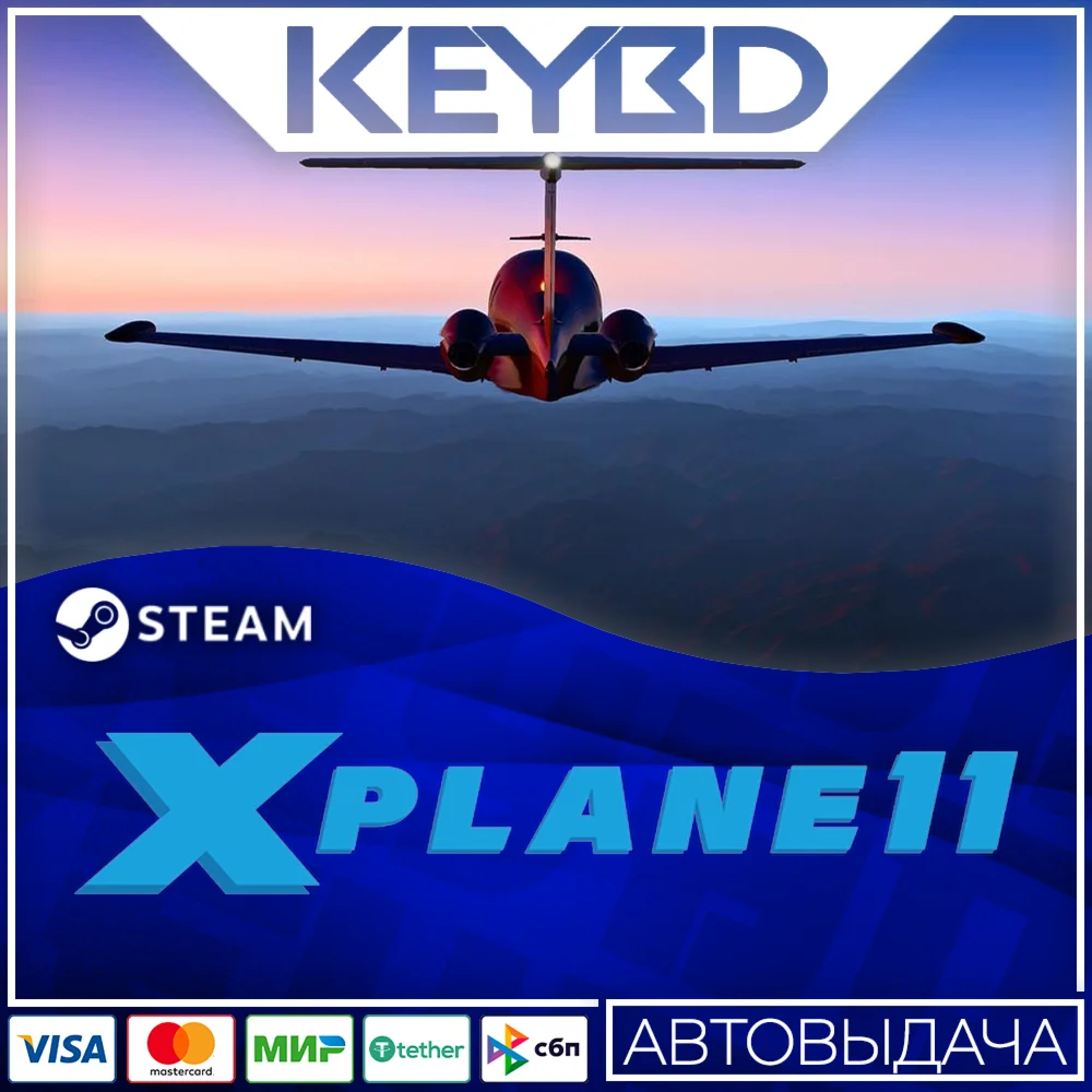X-Plane 11 · Steam GiftАВТОДОСТАВКА0%