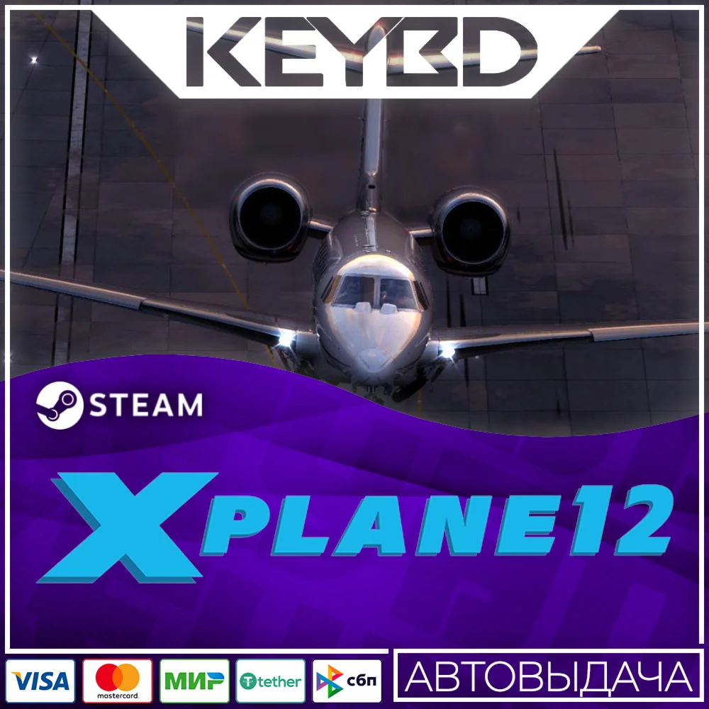X-Plane 12 · Steam GiftАВТОДОСТАВКА0%