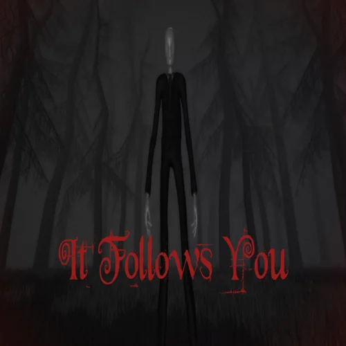  It follows you  EPIC GAMES  (PC)