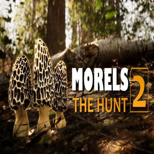  Morels The Hunt 2  EPIC GAMES  (PC)