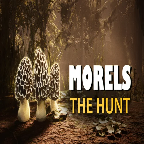  Morels: The Hunt  EPIC GAMES  (PC)