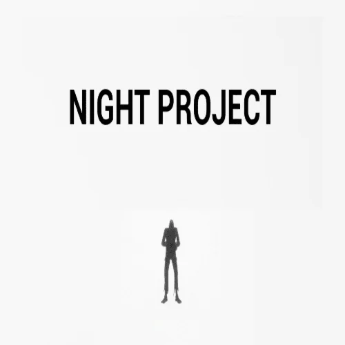  Night Project  EPIC GAMES  (PC)