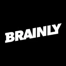 Brainly Plus счёт Гарантия на 1 месяц
