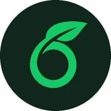 Overleaf Профессиональный счет Pro 1 месяц