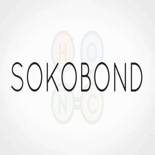  Sokobond  EPIC GAMES  (PC)