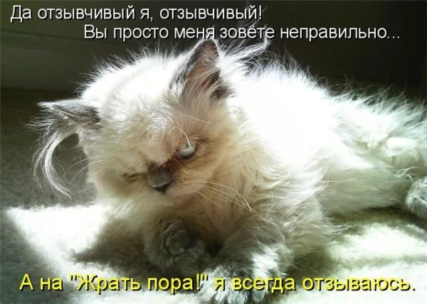Контрольная Криминалогия
